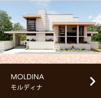 MOLDINA モルディナ